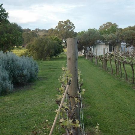 Southern Vales Bed & Breakfast Mclaren Vale Dış mekan fotoğraf