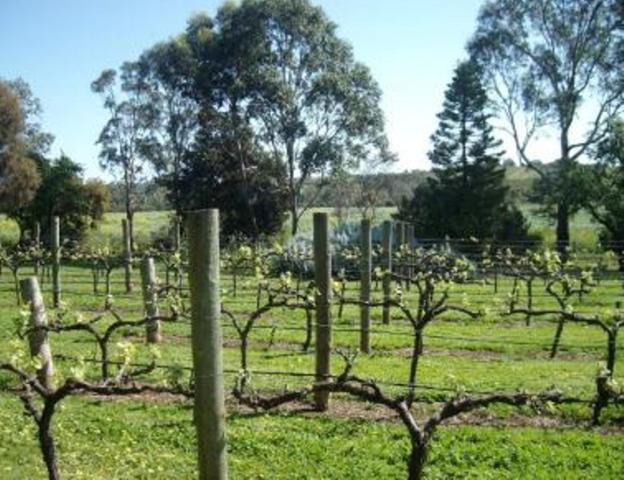 Southern Vales Bed & Breakfast Mclaren Vale Dış mekan fotoğraf