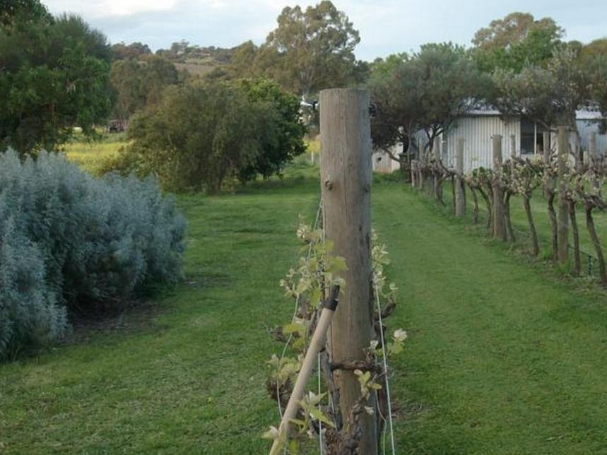 Southern Vales Bed & Breakfast Mclaren Vale Dış mekan fotoğraf