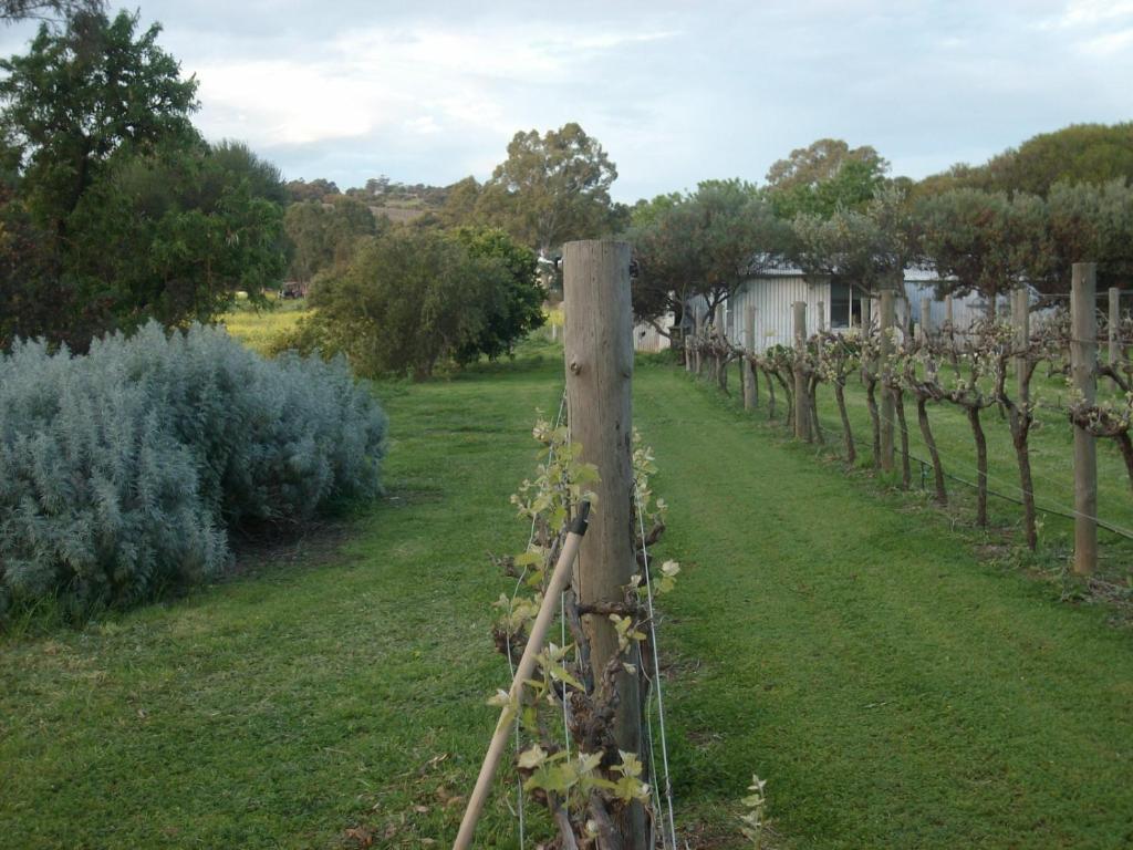 Southern Vales Bed & Breakfast Mclaren Vale Dış mekan fotoğraf