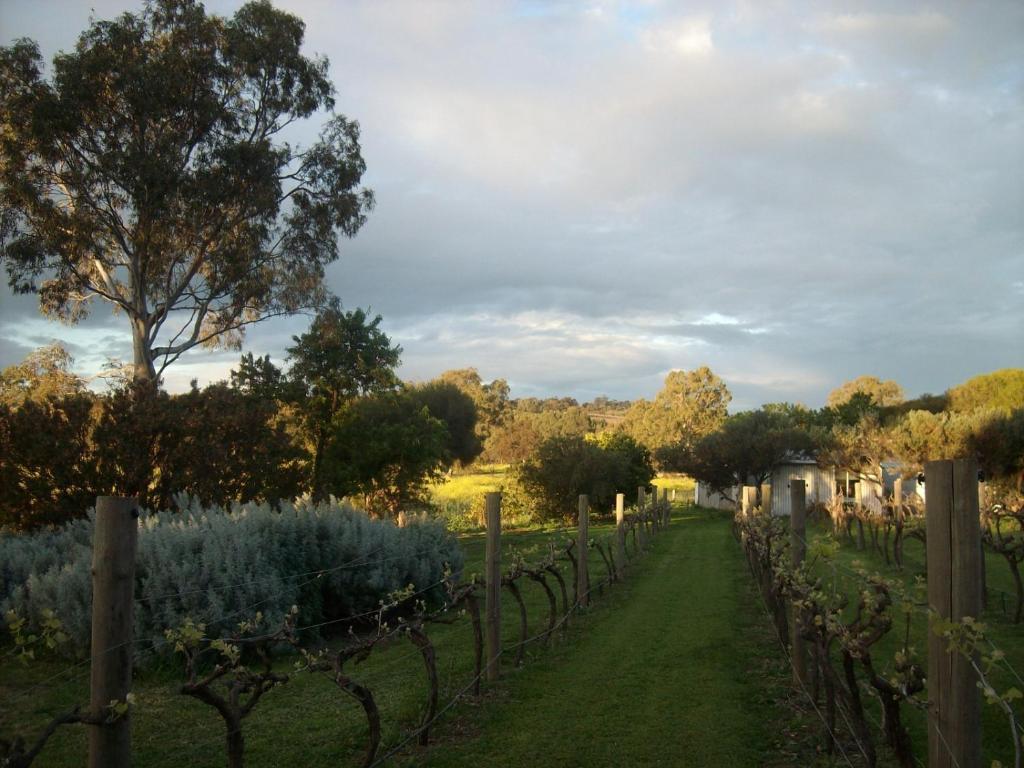 Southern Vales Bed & Breakfast Mclaren Vale Dış mekan fotoğraf