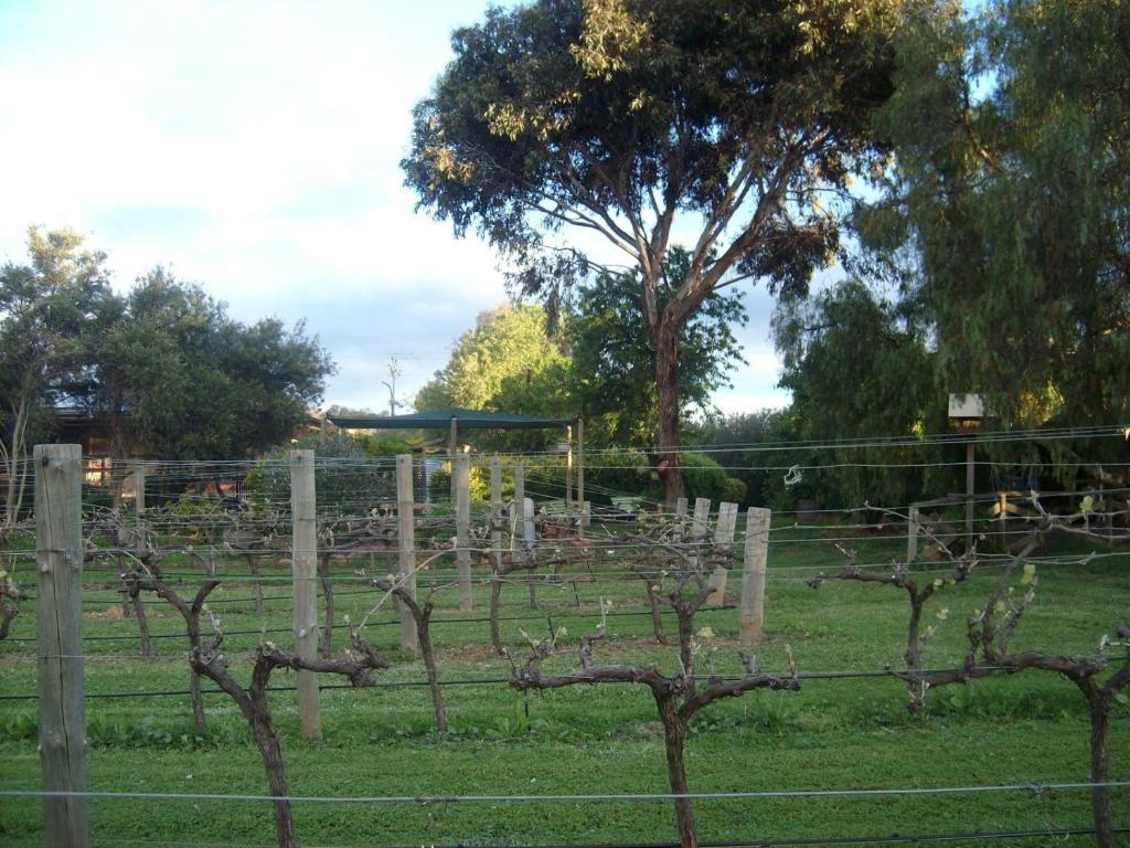Southern Vales Bed & Breakfast Mclaren Vale Dış mekan fotoğraf