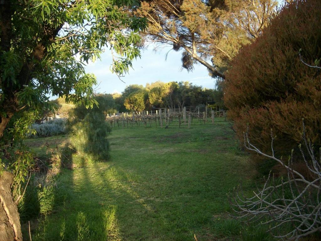 Southern Vales Bed & Breakfast Mclaren Vale Dış mekan fotoğraf