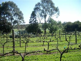 Southern Vales Bed & Breakfast Mclaren Vale Dış mekan fotoğraf
